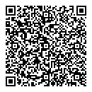 QR код "Домино"