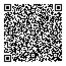 QR код "Спутник"