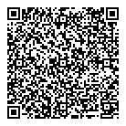QR код "Vega"