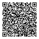 QR код "Kodak-Флеш"