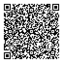 QR код "Сателлит"