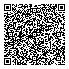 QR код "DLM"