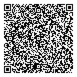 QR код "Кот в мешке"