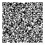 QR код "BoxPay Solutions"