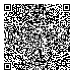 QR код "Пегас-2011"