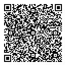 QR код "Ромашка"