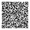 QR код "Remix"