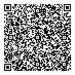 QR код "Voronin"