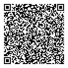 QR код "Ну, Погоди!"