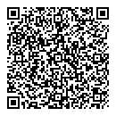 QR код "Скіфи"