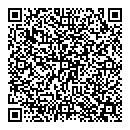 QR код "Давид"