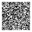 QR код "Flash"