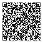 QR код "domovoy"