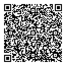 QR код "Глобус"