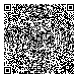 QR код "Лион-95"