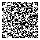 QR код "Мир Дисков"