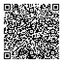 QR код "Венеция"