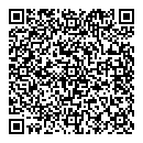QR код "Arabesque"