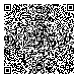 QR код "33 пингвина"