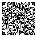 QR код "Team Drive"