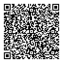 QR код "Team Vision"
