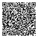 QR код "Vegas"