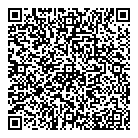 QR код "Alternative Networks and Trunks"