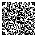 QR код "Овоид"