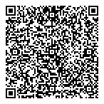 QR код "AceLight"