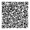 QR код "Алсу"