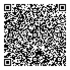 QR код "Alemshop.kz"