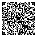QR код "Art Strike"