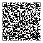 QR код "Nefertiti"