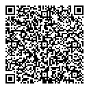 QR код "Домино"