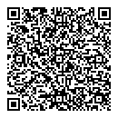 QR код "Visit Rise-S"
