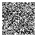 QR код "Леди"