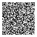 QR код "Анель"