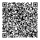 QR код "Блеск"