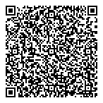 QR код "Aysev Ltd"