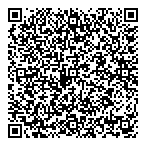 QR код "Алшын-Хан, ТОО"