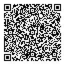 QR код "Ромашка"