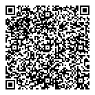 QR код "Platinom Service"