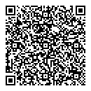 QR код "Picasso"