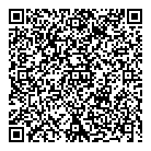 QR код "Dtoyz"