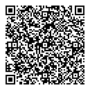 QR код "TOY.RU"