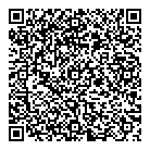 QR код "Анеля"