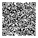 QR код "Гейзер"