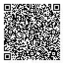 QR код "Давид"