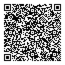 QR код "Эльза"