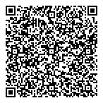 QR код "Сателлит"